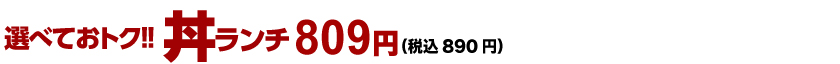お得な選べる丼ランチ 890円