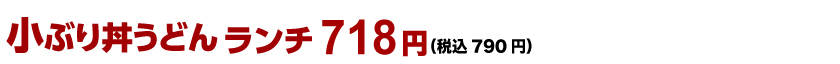 小ぶり丼うどんランチ 680円