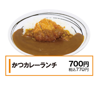 かつカレーランチ
