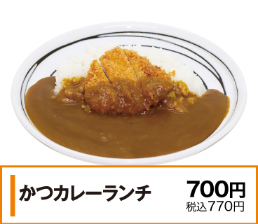 かつカレーランチ